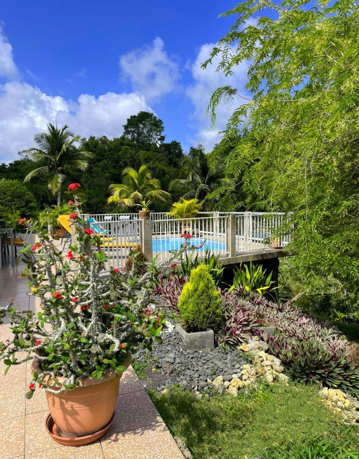 La Villa Ixora, Magnifique Villa Avec Piscine Les Abymes Exteriér fotografie